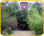 Marienkirche zu Höchst im Odenwald - Bild 4