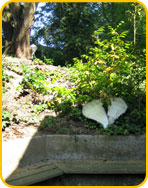 Philosophie - Bild 2